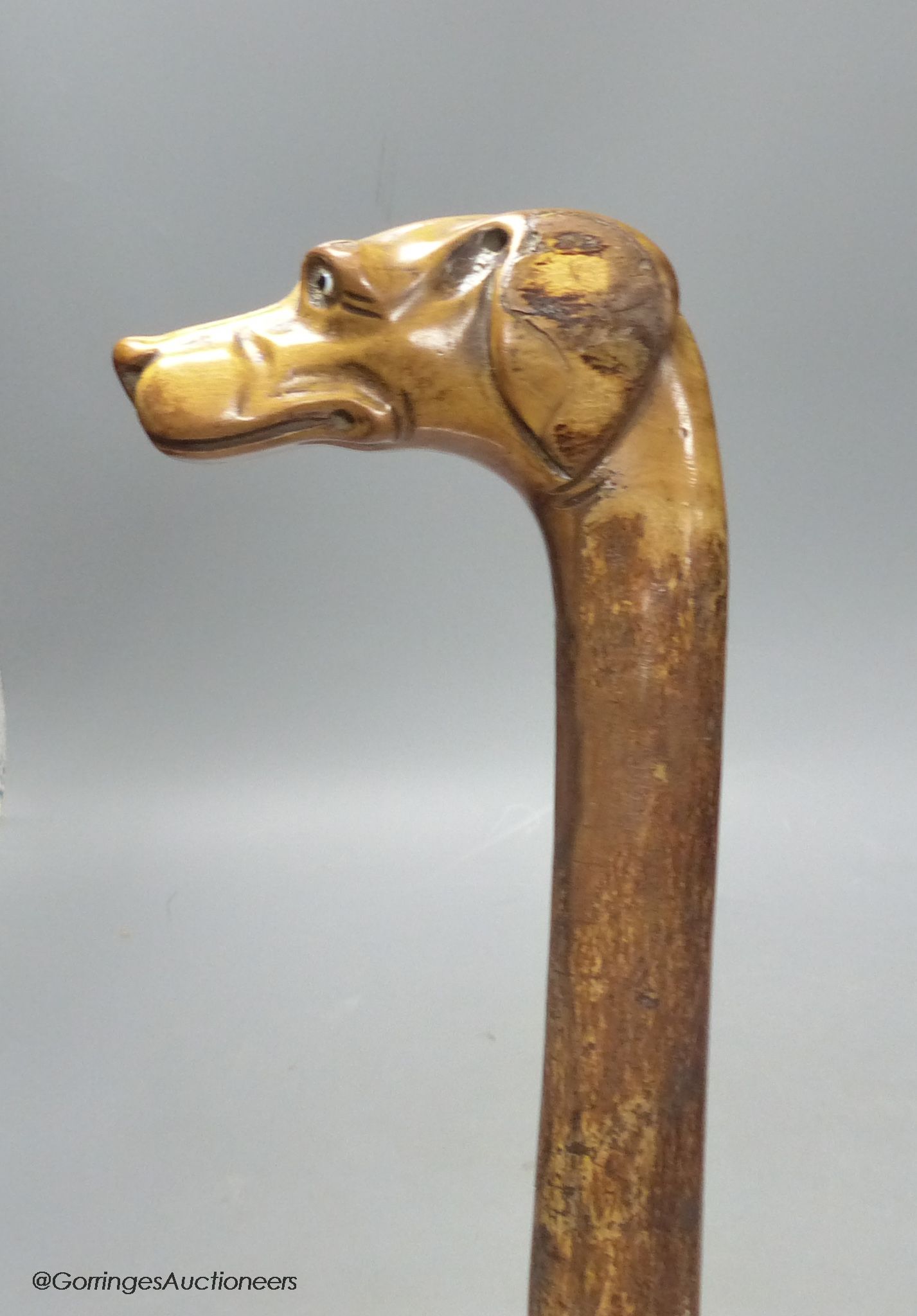 A carved walking stick in the form of a dog's head with glass eyes